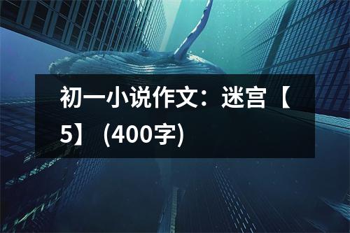 初一小說作文：迷宮【5】 (400字)
