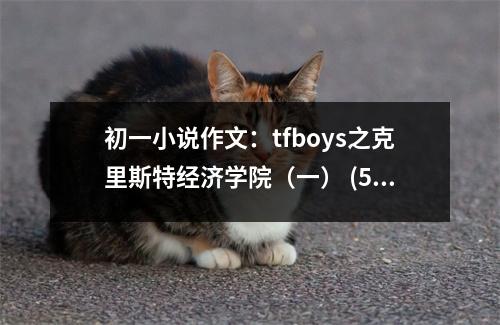 初一小說作文：tfboys之克里斯特經(jīng)濟學(xué)院（一） (500字)