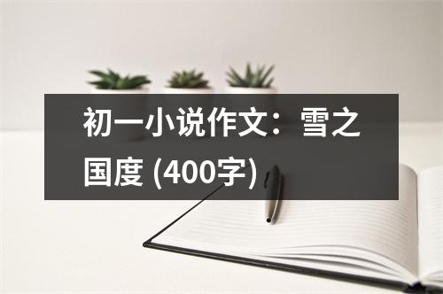 初一小說作文：雪之國度 (400字)