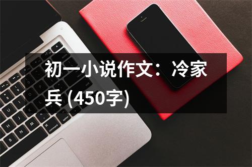 初一小說作文：冷家兵 (450字)