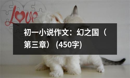 初一小說作文：幻之國（第三章） (450字)