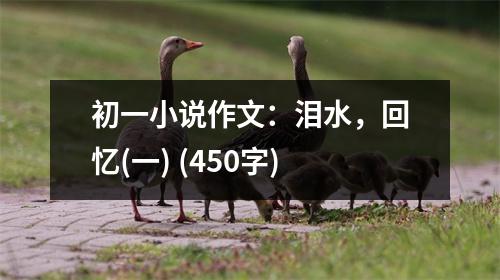 初一小說作文：淚水，回憶(一) (450字)