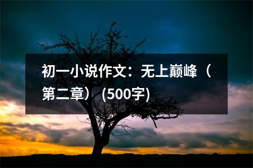初一小說作文：無上巔峰（第二章） (500字)