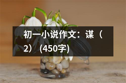 初一小說(shuō)作文：謀（2） (450字)
