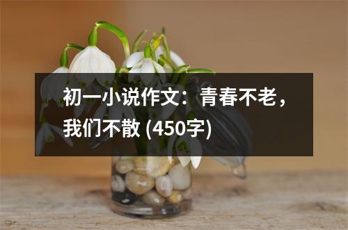 初一小說(shuō)作文：青春不老，我們不散 (450字)