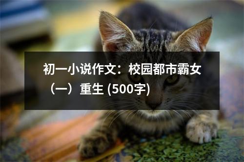 初一小說作文：校園都市霸女（一）重生 (500字)