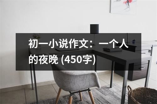 初一小說(shuō)作文：一個(gè)人的夜晚 (450字)