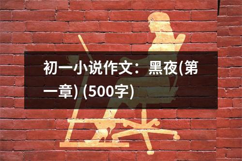 初一小說(shuō)作文：黑夜(第一章) (500字)