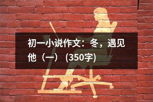 初一小說(shuō)作文：冬，遇見(jiàn)他（一） (350字)