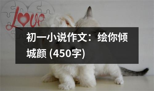 初一小說(shuō)作文：繪你傾城顏 (450字)
