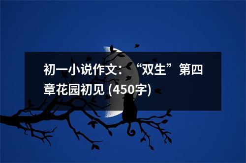 初一小說(shuō)作文：“雙生”第四章花園初見(jiàn) (450字)