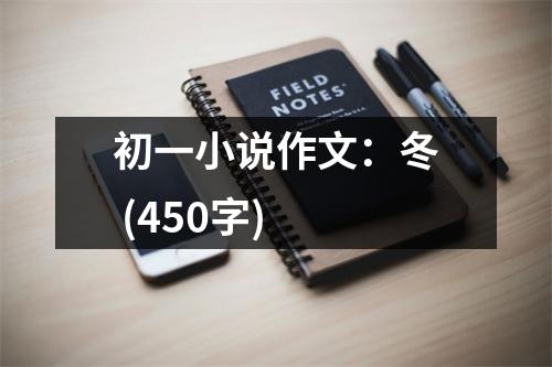 初一小說(shuō)作文：冬 (450字)