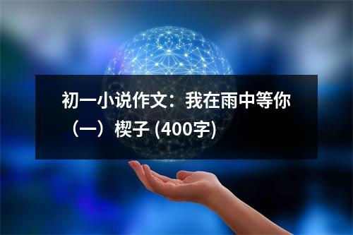 初一小說(shuō)作文：我在雨中等你（一）楔子 (400字)