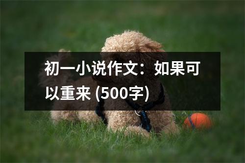 初一小說(shuō)作文：如果可以重來(lái) (500字)