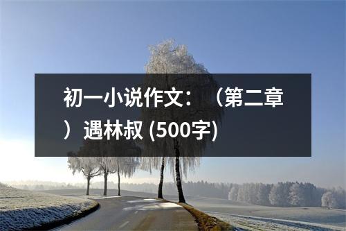 初一小說(shuō)作文：（第二章）遇林叔 (500字)