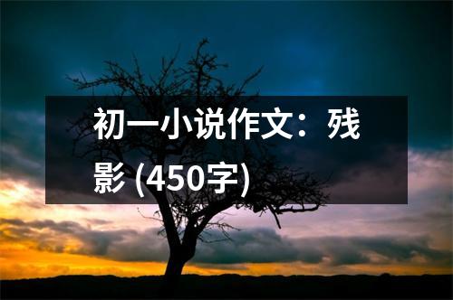 初一小說(shuō)作文：殘影 (450字)