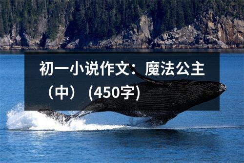 初一小說(shuō)作文：魔法公主（中） (450字)