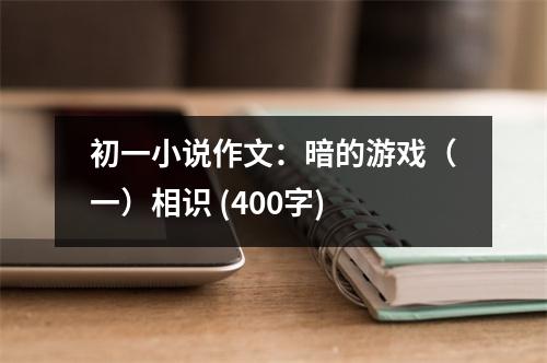 初一小說(shuō)作文：暗的游戲（一）相識(shí) (400字)