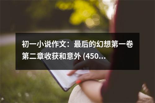 初一小說(shuō)作文：最后的幻想第一卷第二章收獲和意外 (450字)