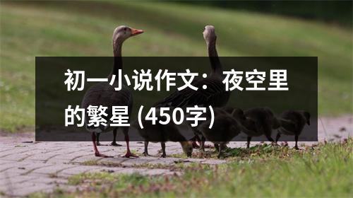 初一小說(shuō)作文：夜空里的繁星 (450字)