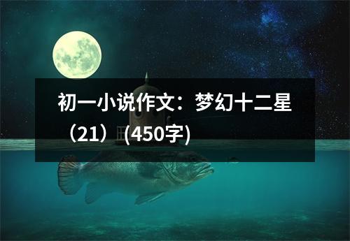 初一小說作文：夢幻十二星（21） (450字)