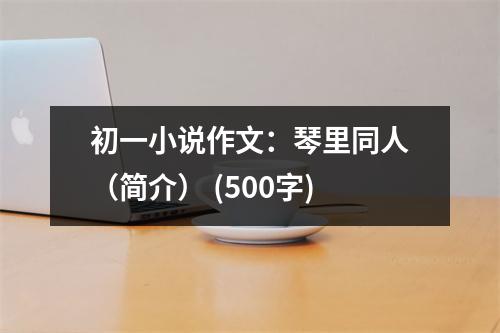 初一小說作文：琴里同人（簡介） (500字)