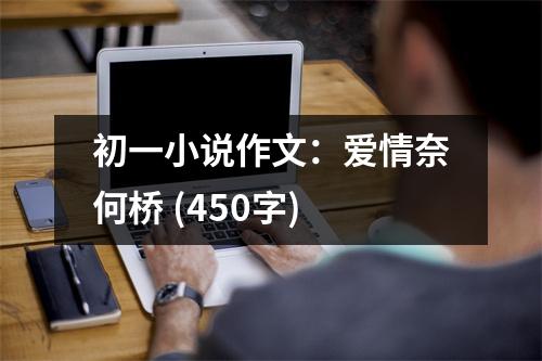 初一小說作文：愛情奈何橋 (450字)