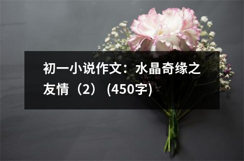 初一小說作文：水晶奇緣之友情（2） (450字)
