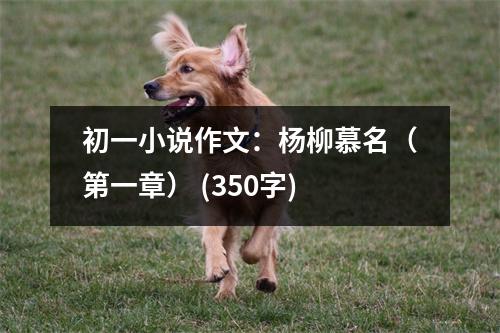 初一小說作文：楊柳慕名（第一章） (350字)
