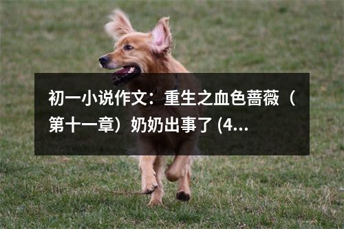 初一小說(shuō)作文：重生之血色薔薇（第十一章）奶奶出事了 (450字)