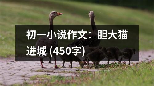 初一小說作文：膽大貓進城 (450字)