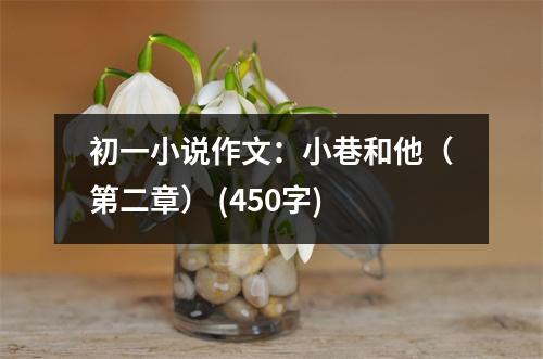 初一小說(shuō)作文：小巷和他（第二章） (450字)