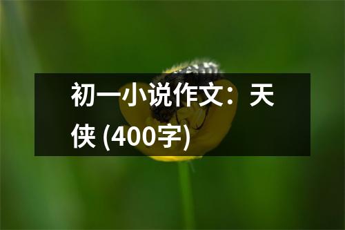 初一小說(shuō)作文：天俠 (400字)