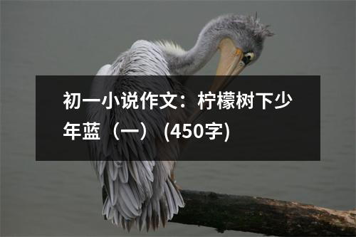 初一小說(shuō)作文：檸檬樹下少年藍(lán)（一） (450字)