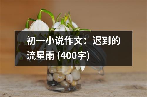 初一小說(shuō)作文：遲到的流星雨 (400字)