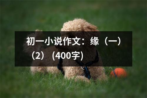 初一小說作文：緣（一）（2） (400字)