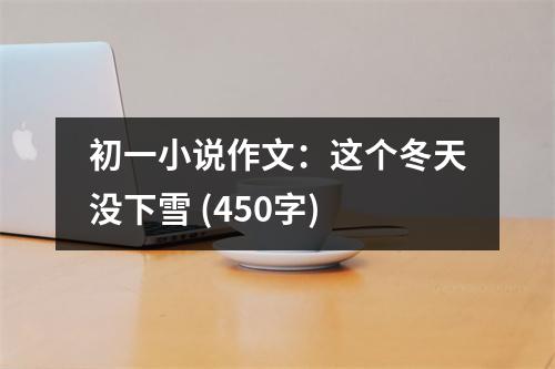 初一小說作文：這個(gè)冬天沒下雪 (450字)