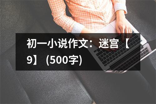 初一小說作文：迷宮【9】 (500字)