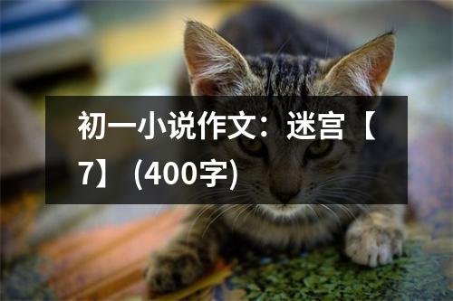 初一小說作文：迷宮【7】 (400字)