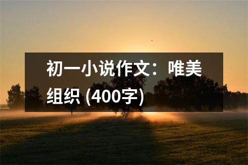 初一小說作文：唯美組織 (400字)