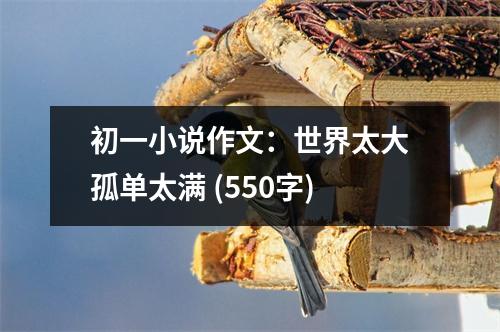 初一小說作文：世界太大孤單太滿 (550字)