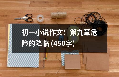 初一小說(shuō)作文：第九章危險(xiǎn)的降臨 (450字)