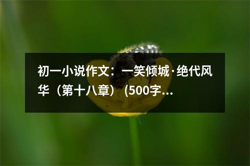 初一小說(shuō)作文：一笑傾城·絕代風(fēng)華（第十八章） (500字)