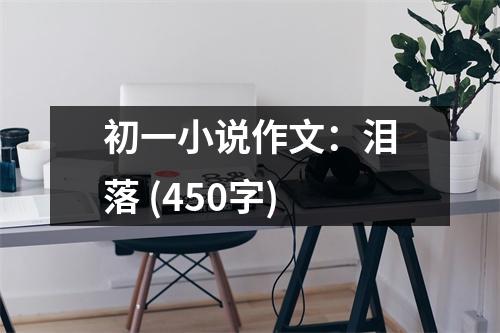 初一小說(shuō)作文：淚落 (450字)