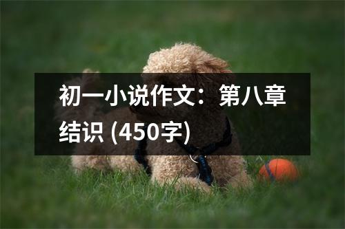 初一小說(shuō)作文：第八章結(jié)識(shí) (450字)