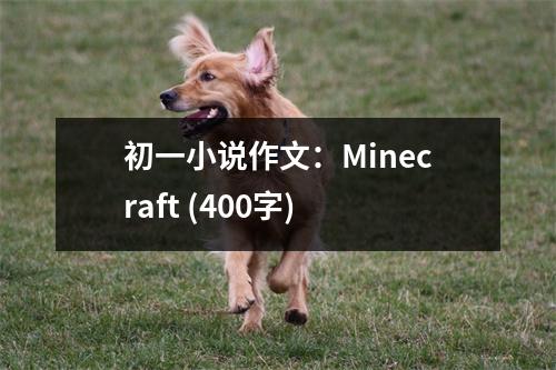 初一小說(shuō)作文：Minecraft (400字)