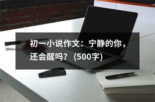初一小說(shuō)作文：寧?kù)o的你，還會(huì)醒嗎？ (500字)