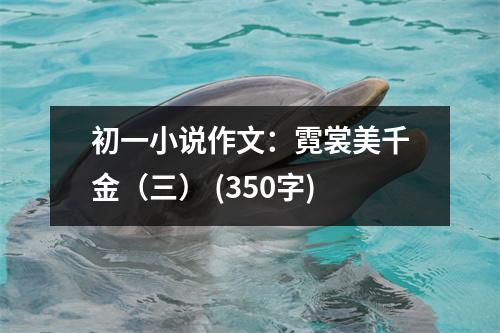 初一小說(shuō)作文：霓裳美千金（三） (350字)