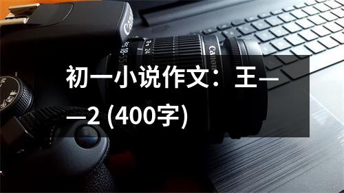 初一小說(shuō)作文：王——2 (400字)
