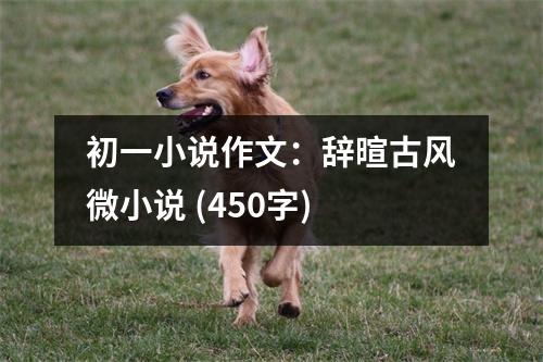 初一小說作文：辭暄古風(fēng)微小說 (450字)